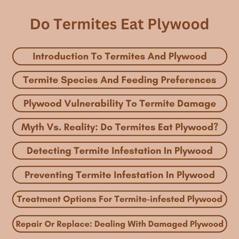 Do Termites Eat Plywood