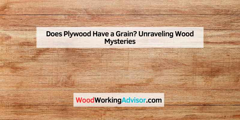 Does Plywood Have a Grain