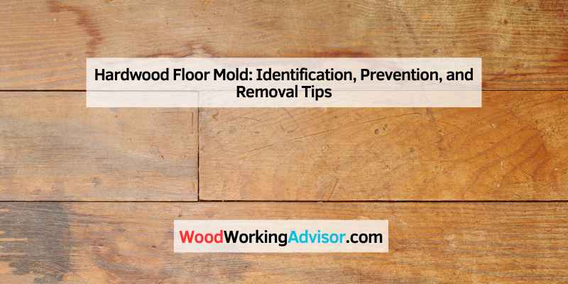 Hardwood Floor Mold