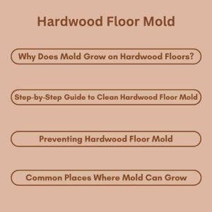 Hardwood Floor Mold