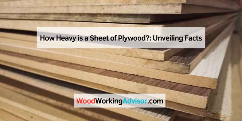 How Heavy is a Sheet of Plywood