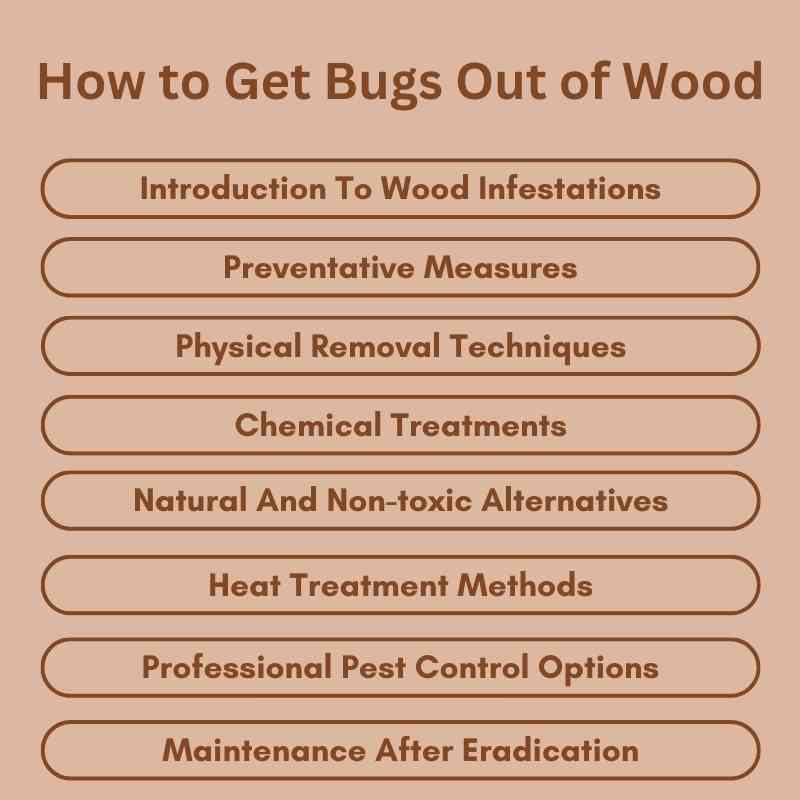 How to Get Bugs Out of Wood