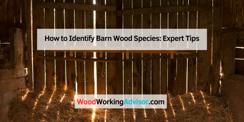 How to Identify Barn Wood Species