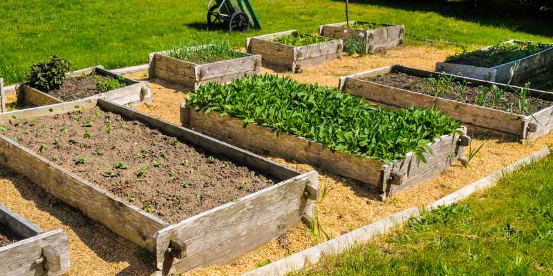 How to Make Raised Beds Without Wood