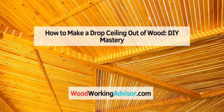 Maintenance And Care