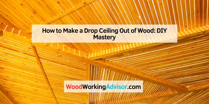 Maintenance And Care