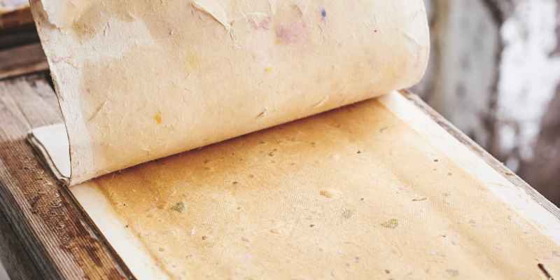 How to Making Paper Out of Wood