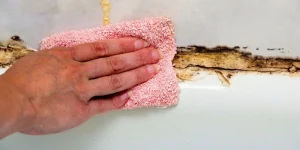 How to Remove Mold from Rough Cut Wood