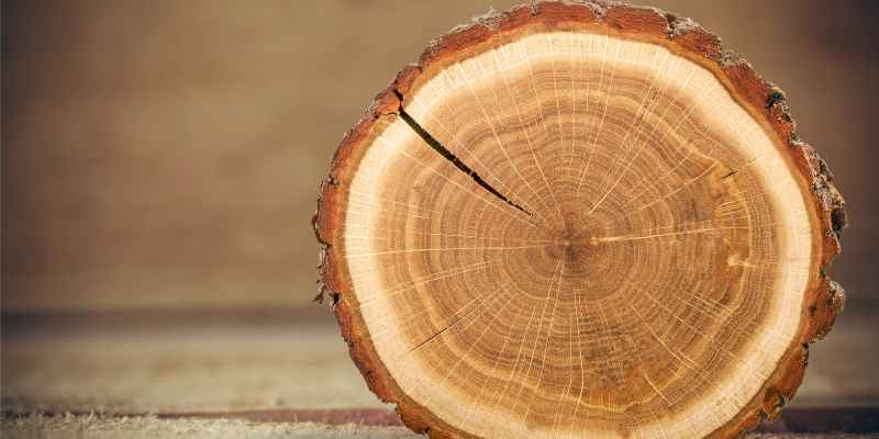 How to Seal Wood Slices