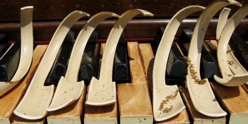 How to Warp Wood With Water