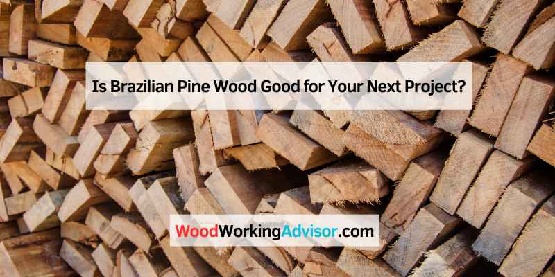 Is Brazilian Pine Wood Good for Your Next Project