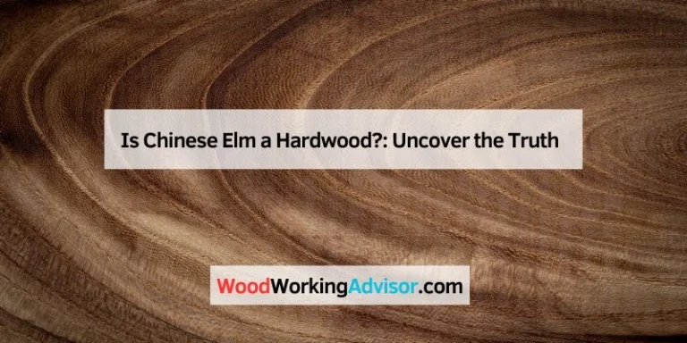 Is Chinese Elm a Hardwood