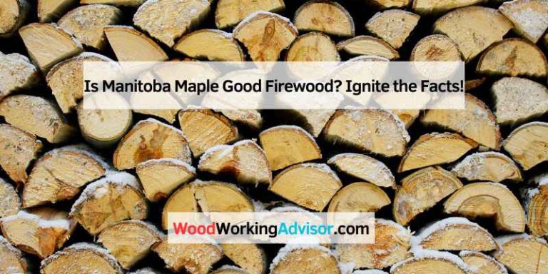 Is Manitoba Maple Good Firewood