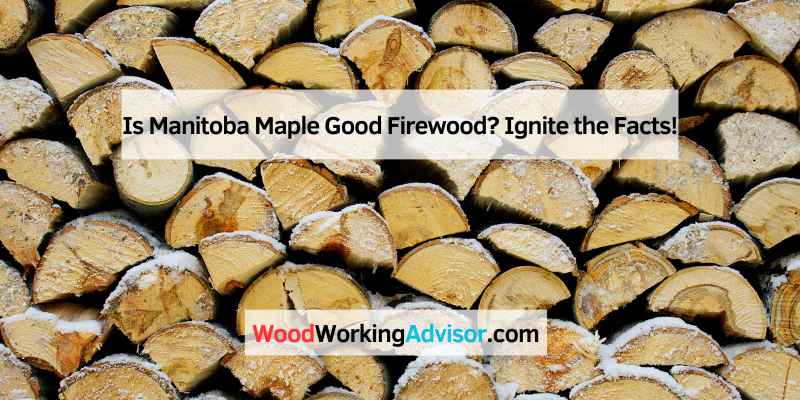 Is Manitoba Maple Good Firewood