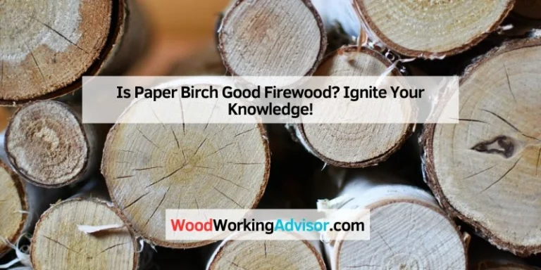 Is Paper Birch Good Firewood