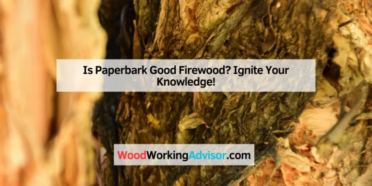 Is Paperbark Good Firewood