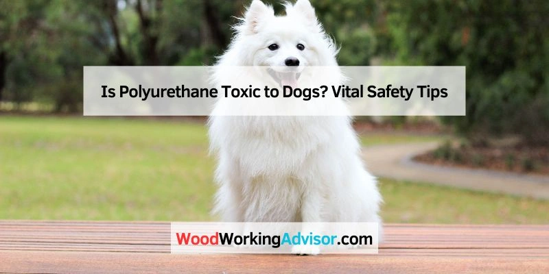 Is Polyurethane Toxic to Dogs