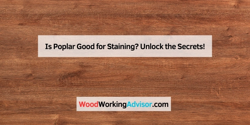 Is Poplar Good for Staining