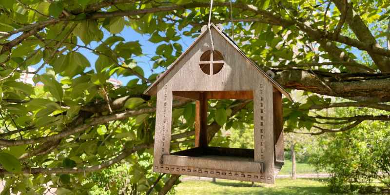 Is Pressure Treated Wood Safe for Bird Houses