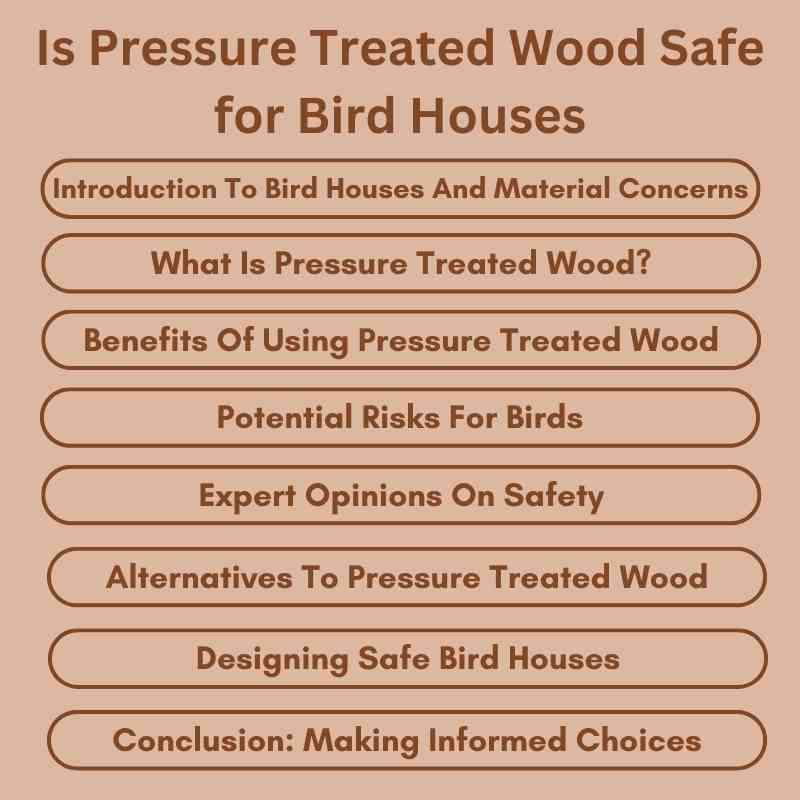 Is Pressure Treated Wood Safe for Bird Houses