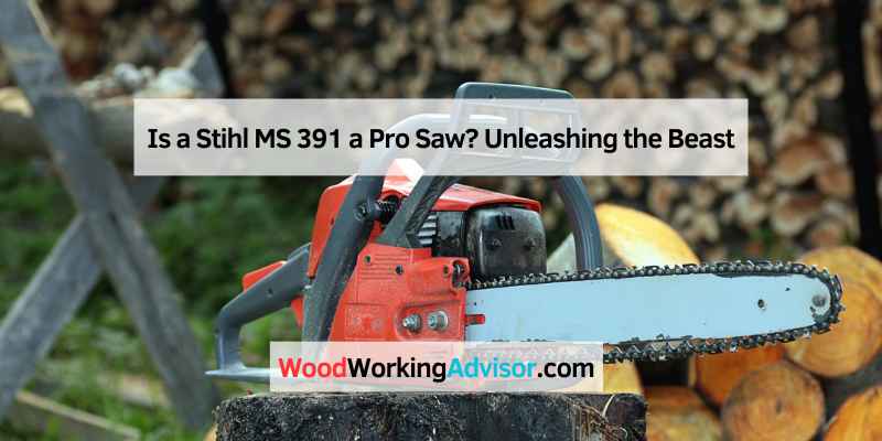 Is a Stihl MS 391 a Pro Saw