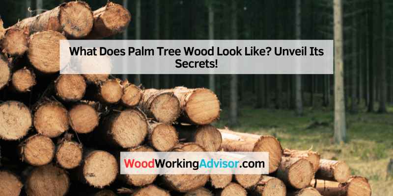 What Does Palm Tree Wood Look Like