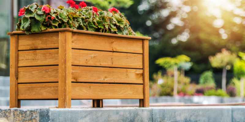 What Kind of Wood for Garden Boxes
