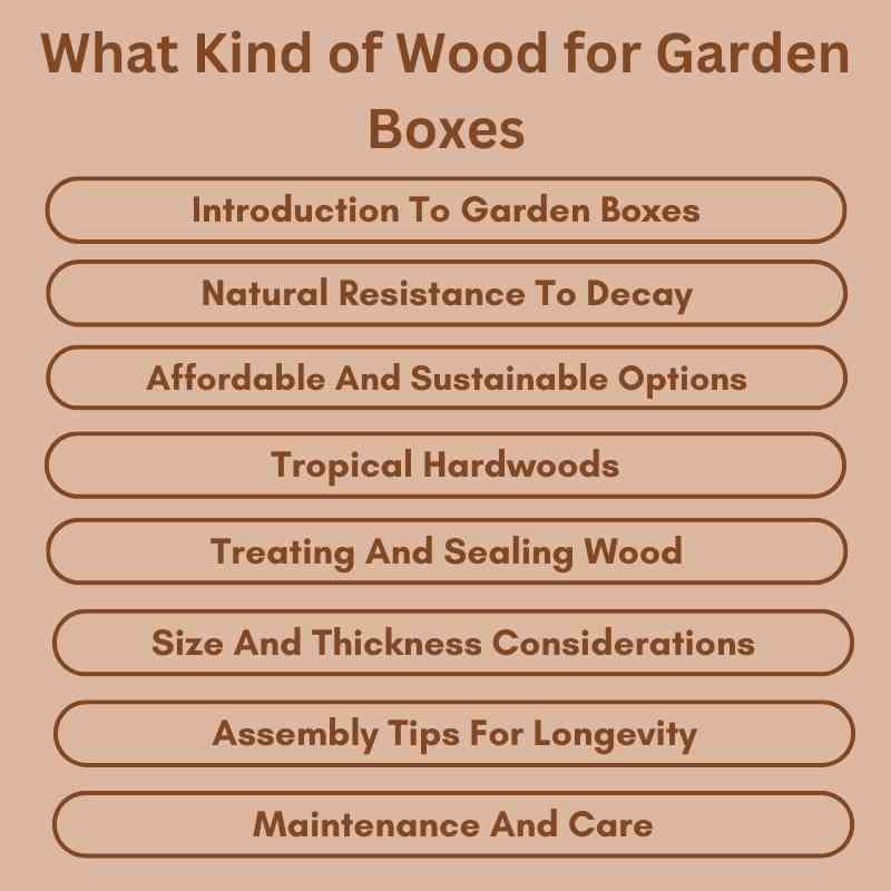 What Kind of Wood for Garden Boxes