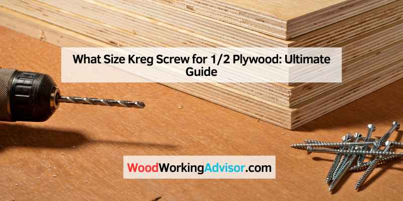 What Size Kreg Screw for 1/2 Plywood: Ultimate Guide