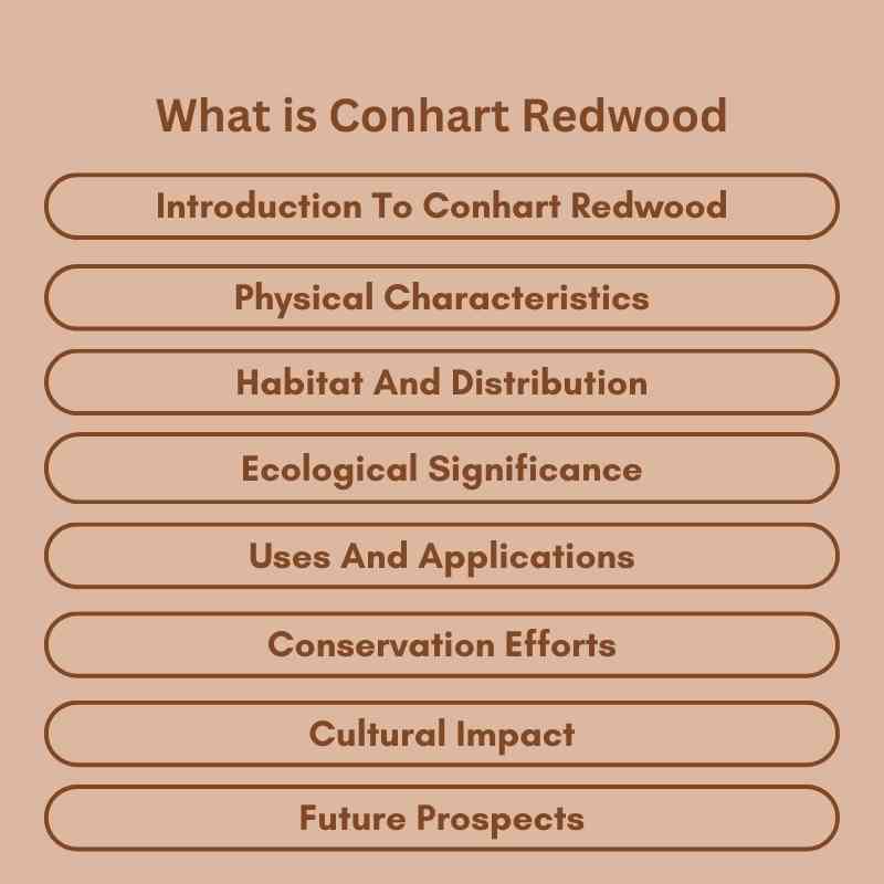 What is Conhart Redwood