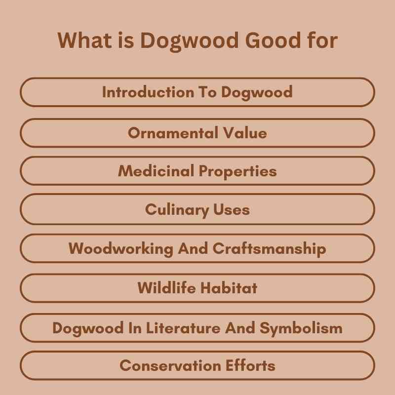 What is Dogwood Good for