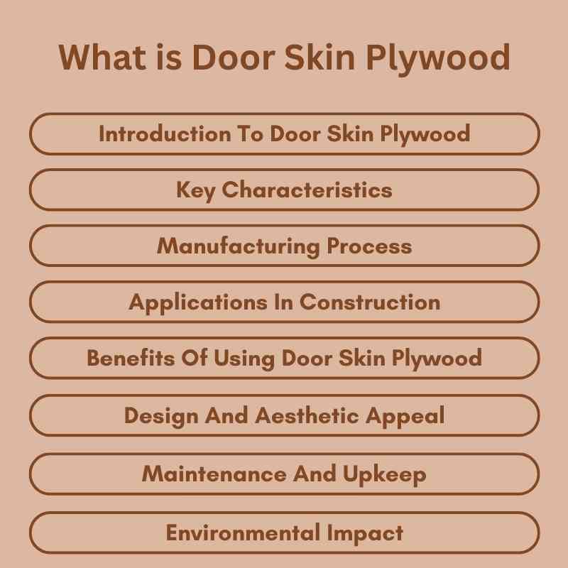 What is Door Skin Plywood