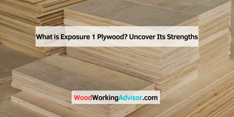 What is Exposure 1 Plywood