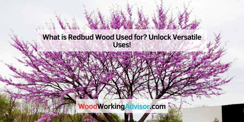 What is Redbud Wood Used for