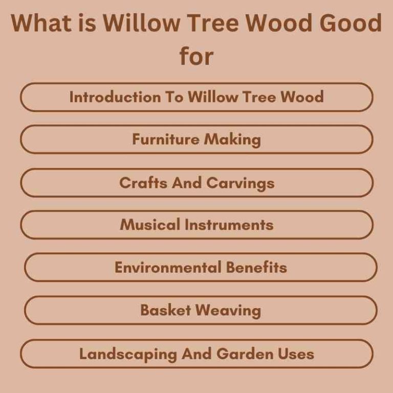 What is Willow Tree Wood Good for Top Uses and Benefits Woodworking