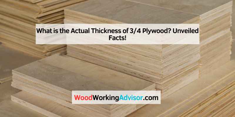 What is the Actual Thickness of 34 Plywood