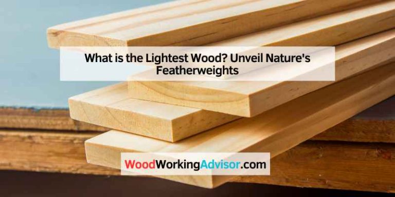 What is the Lightest Wood