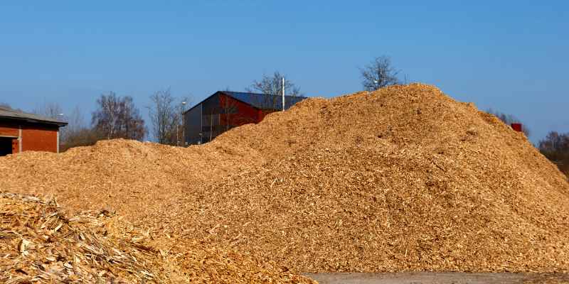 What to Do With Wood Dust