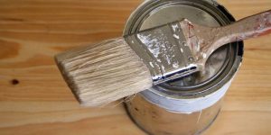 Can You Paint Birch Plywood