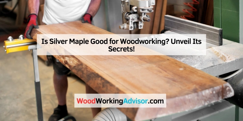 Is Silver Maple Good for Woodworking