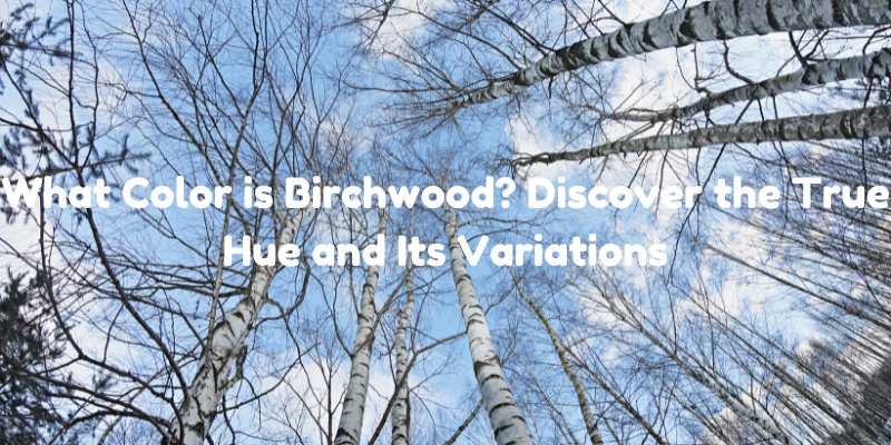 What Color is Birchwood?