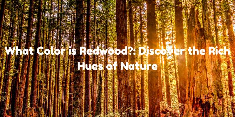 What Color is Redwood?