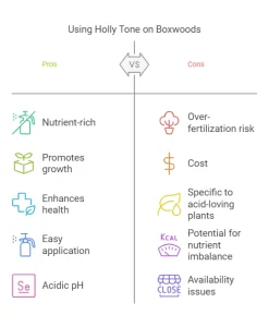 Is Holly Tone Good for Boxwoods