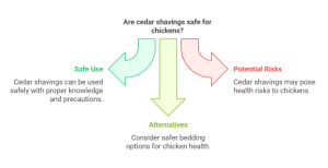 Are Cedar Shavings Safe for Chickens