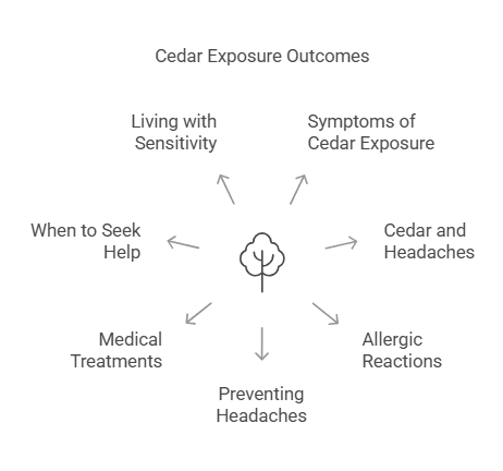 Can Cedar Cause Headaches