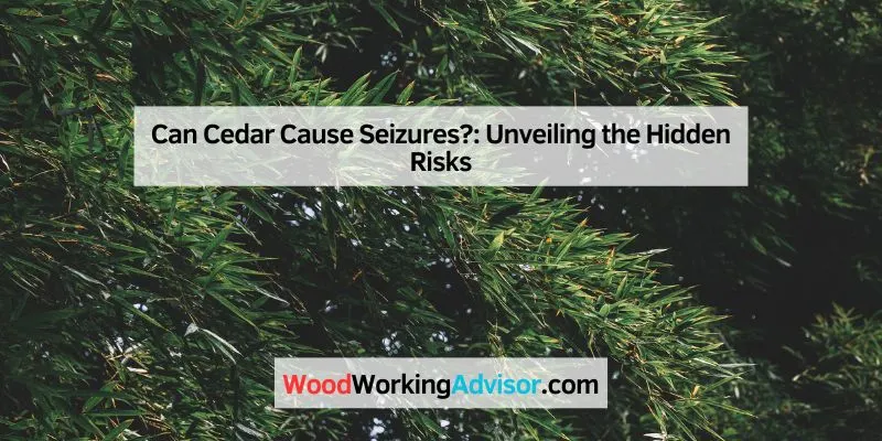 Can Cedar Cause Seizures