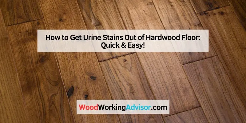 How to Get Urine Stains Out of Hardwood Floor