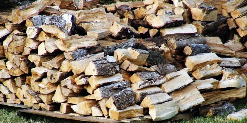 Is Douglas Fir Weather Resistant