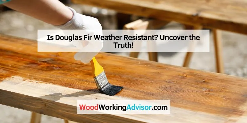 Is Douglas Fir Weather Resistant