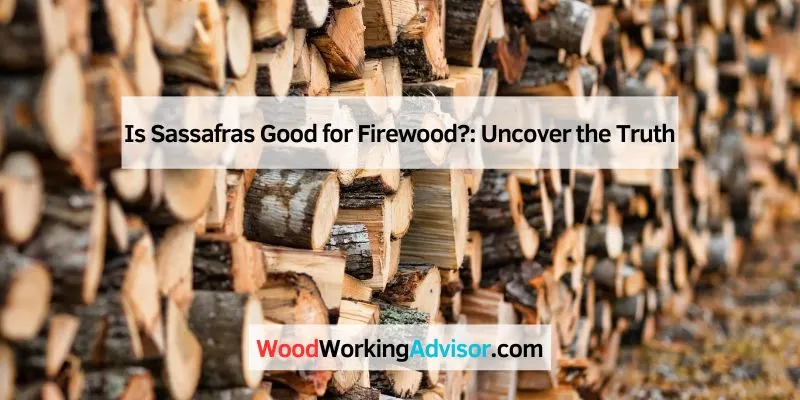 Is Sassafras Good for Firewood